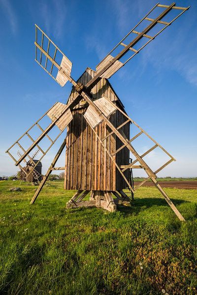 Bibikow, Walter 아티스트의 Sweden-Oland Island-Lerkaka-antique wooden windmills작품입니다.